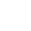 icon manuscrit