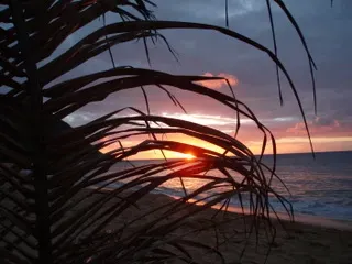 Vierge horizon (3)