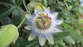 photo (7)